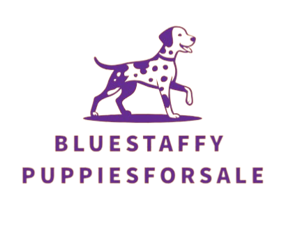 Bluestaffypuppiesforsale